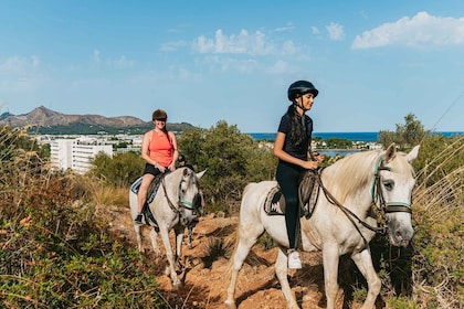 Mallorca: Paardrijden in de bergen met brunchoptie