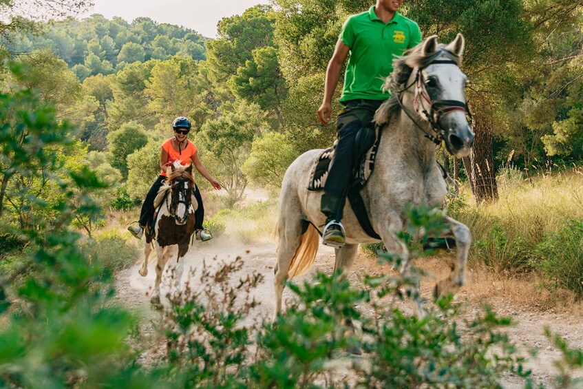 Picture 2 for Activity Mallorca: Horseback Riding Experience with Food Options