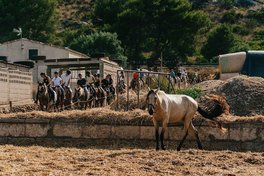 Picture 6 for Activity Mallorca: Horseback Riding Experience with Food Options