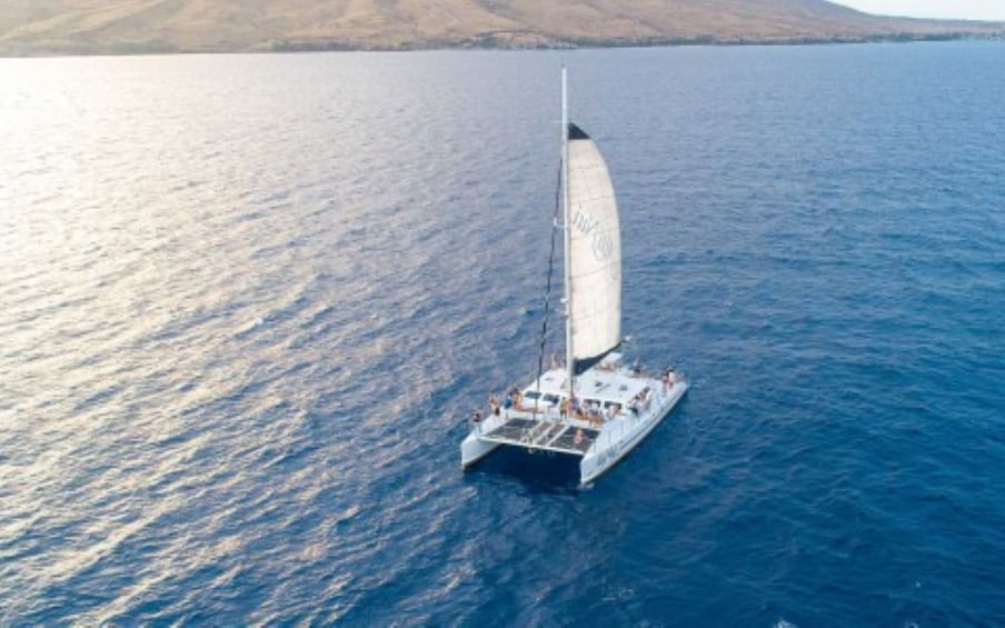 Alii Nui Makani Sunset Sail with Hors d'Ouevres and Premium Open Bar
