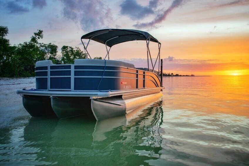 Private Sunset and Dolphin Cruises in Florida