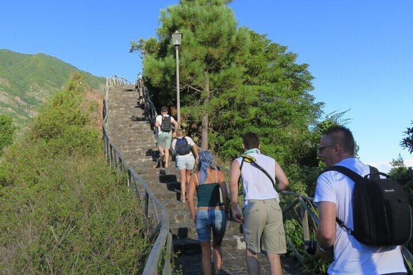 Guided 4x4 Adventure and Skywalk with Wine and Tapas in Madeira