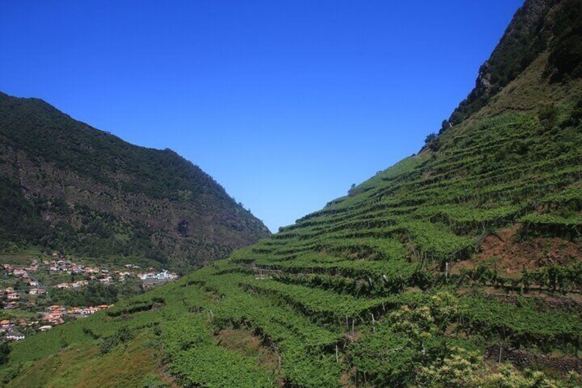 Skywalk wonders & Wine delights, Exploring Madeira untamed beauty