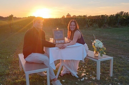 THE PROPOSAL and Engagement Traverse City Wine Tour