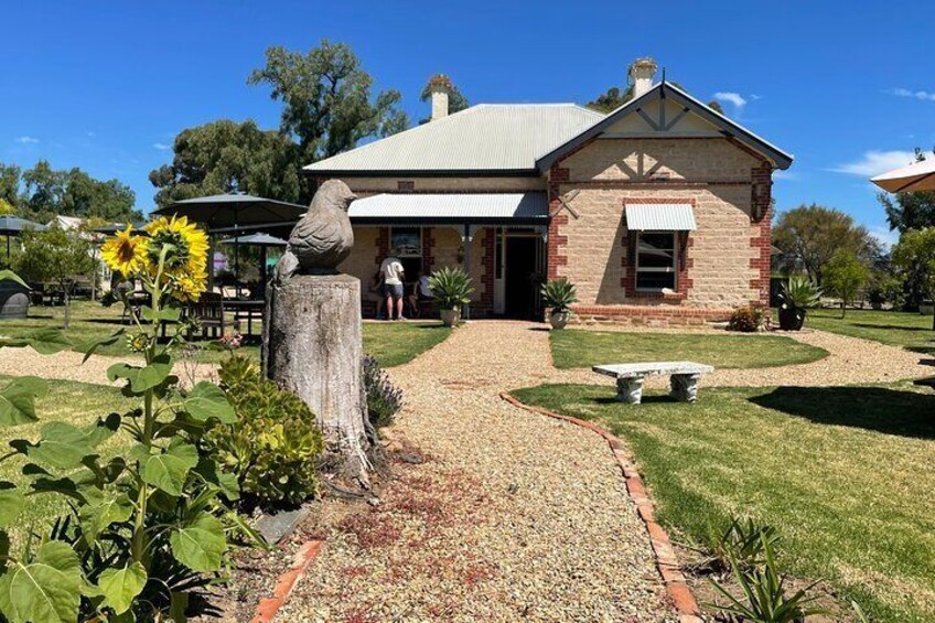 Wine Tasting and Lunch Private Tour in McLaren Vale