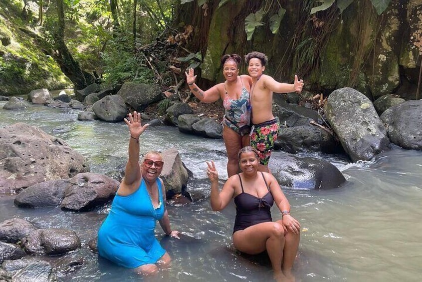 Half-Day Hawaiian Leis Chocolate Waterfalls Beach Tour 