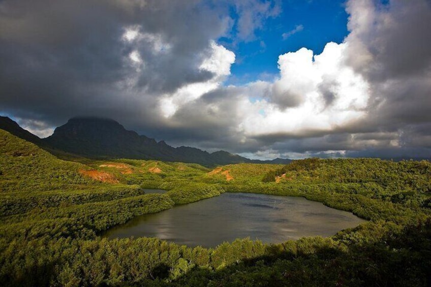 Private Kauai 5-Hour Eastside & Waterfalls Tour