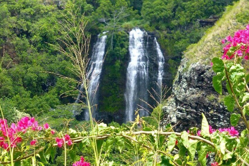 5 Hour Private Kauai Eastside Tour