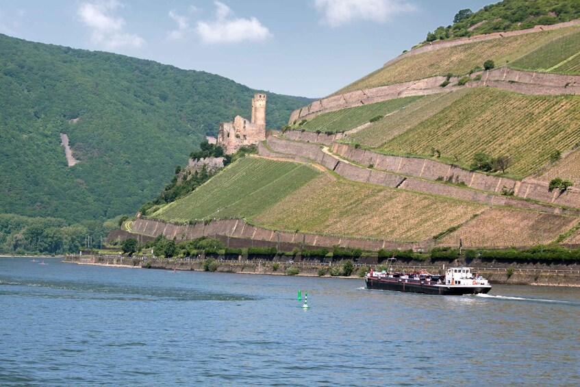 Picture 8 for Activity Rhine Valley Castles: 1.5-Hour Boat Tour from Rüdesheim