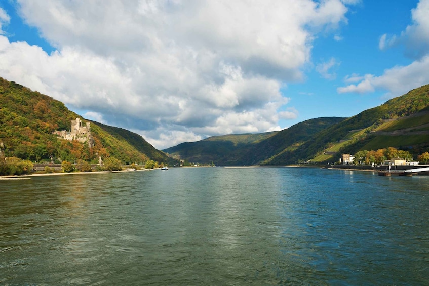Picture 2 for Activity Rhine Valley Castles: 1.5-Hour Boat Tour from Rüdesheim