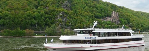 Rhine Valley Castles: 1.5-Hour Boat Tour from Rüdesheim