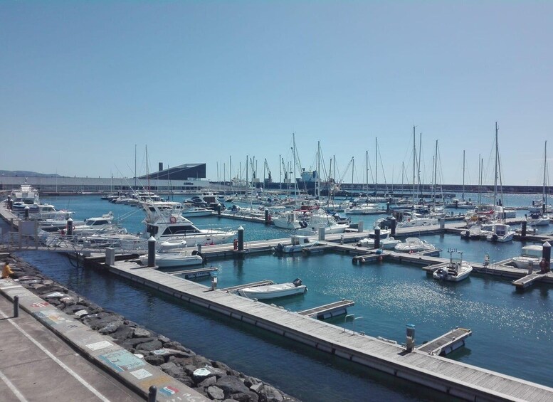 Picture 1 for Activity Ponta Delgada: Historical Walking Tour