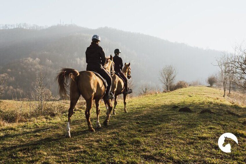 Horseback riding for experts between the lake and the mountains