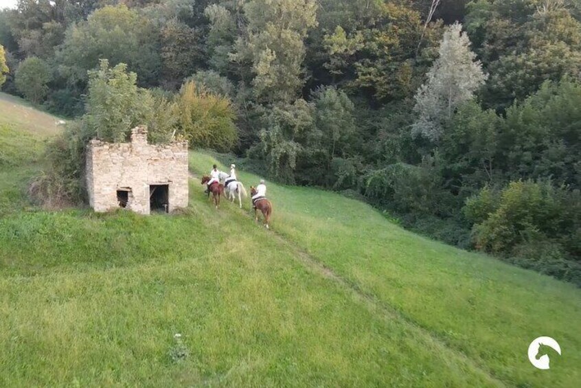Horseback riding for experts between the lake and the mountains