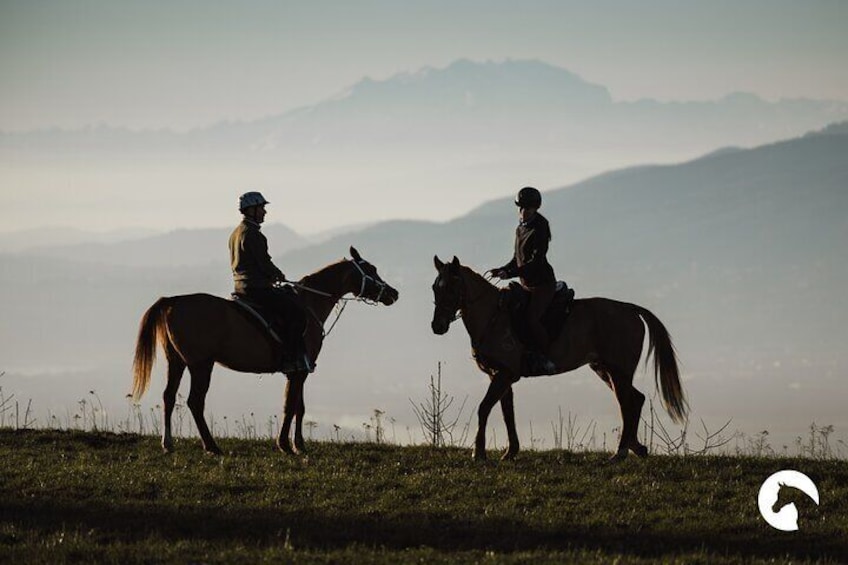 Horseback riding for experts between the lake and the mountains