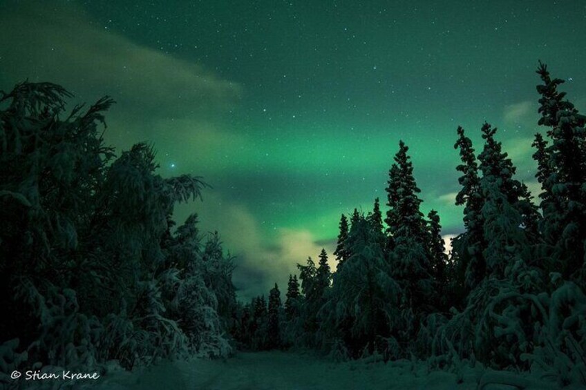 Northern Lights can often be seen!

by Stian Krane