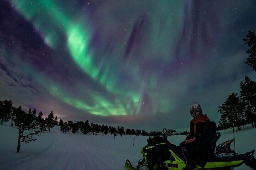 3 Hours Experience of Northern Lights Hunting