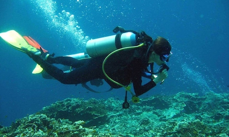 Scuba Diving & 5 Watersports at Paradise Beach- Goa Border