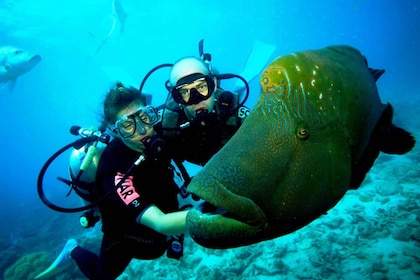 Goa Scuba Diving with Water Sports at Grand Island