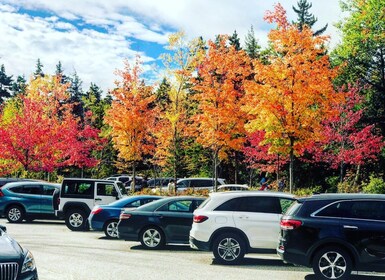 Boston : Tournée du feuillage d’automne