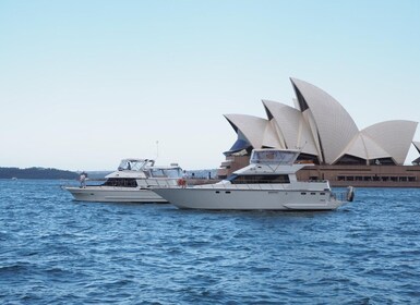 Sydney Harbour: 2-stündige morgendliche Yachttour mit Morgentee