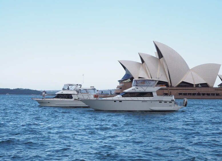 Sydney Harbour: 2-Hour Morning Yacht Cruise with Morning Tea