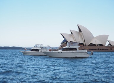 Sydney Harbour: 2-timmars morgonkryssning med yacht och morgonte