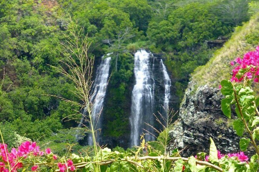 Kauai Private Island Shuttles - 4 & 6 hour custom shuttles