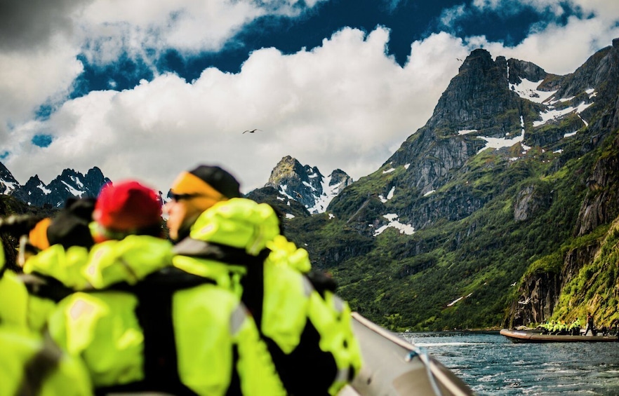 Picture 2 for Activity From Svolvaer: Sea Eagle Safari to Trollfjord