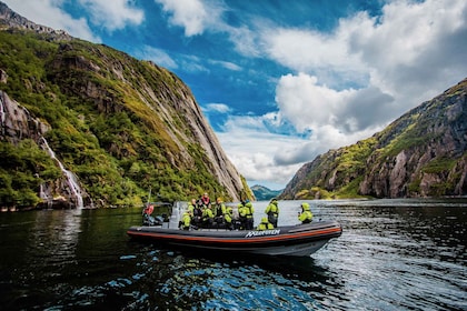 From Svolvaer: Sea Eagle Safari to Trollfjord