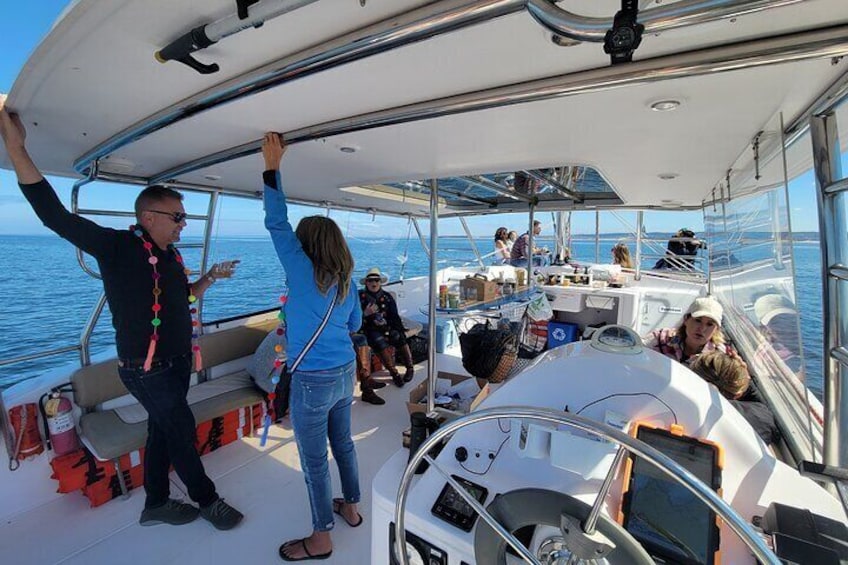 Catamaran Sailing Cruise in Monterey