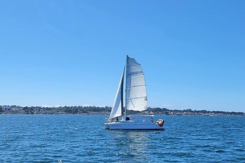 Catamaran Sailing Cruise in Monterey