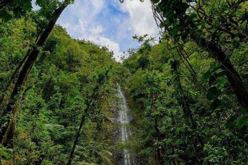 Waterfall in Manoa