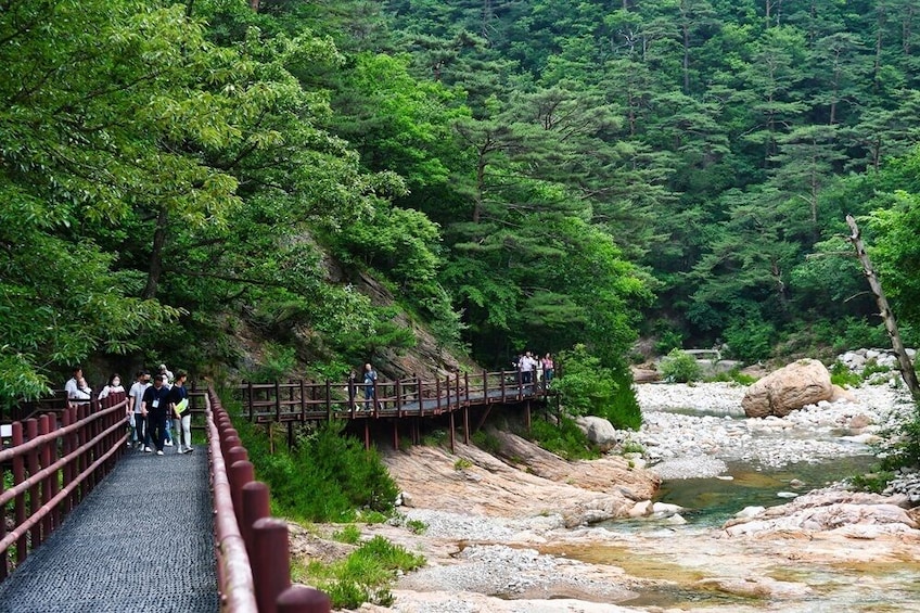 Discover Round Korea 7days & Wellness Holiday