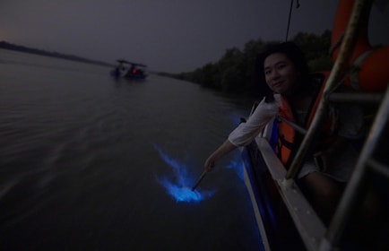 Kuala Selangor: Blue Tears Boat Cruise - A Magical Experience Ticket