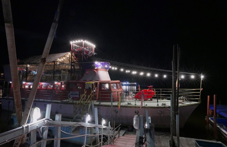 Fireflies Boat Cruise Experience in Kuala Selangor