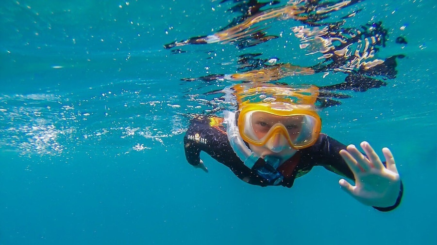 South Tenerife: Guided Snorkeling