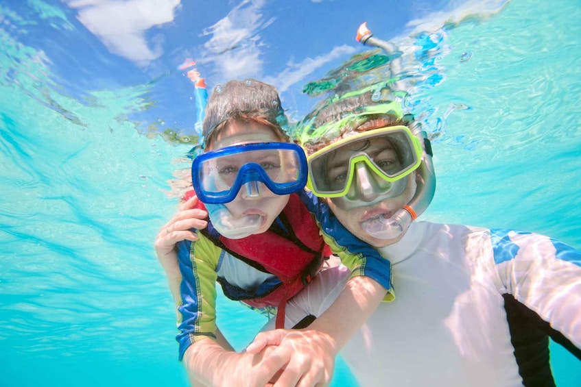 Picture 1 for Activity South Tenerife: Guided Snorkeling