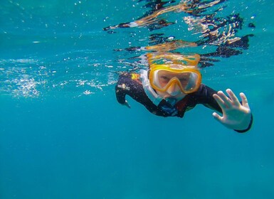 South Tenerife: Guided Snorkeling