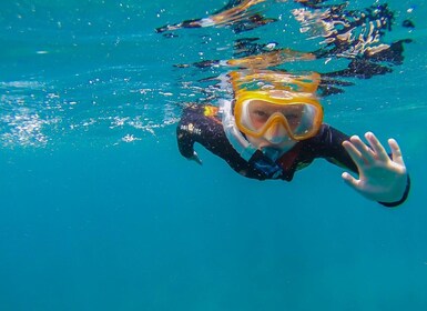 South Tenerife: Guided Snorkeling