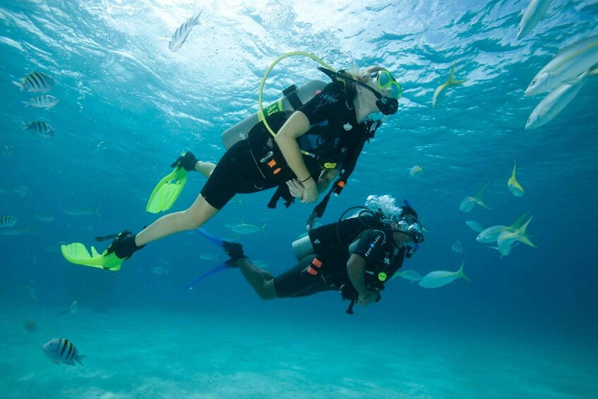 Picture 4 for Activity Gran Canaria: Scuba Diving for Beginners