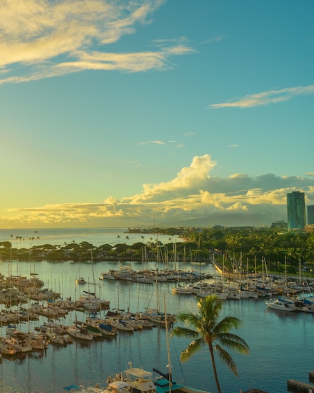 Favorite Oahu Whale Watch! (2 Hour Tour! Ala Wai Harbor, Oahu)