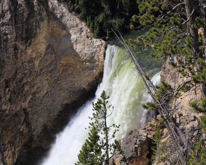 Picture 1 for Activity Jackson Hole: Yellowstone Lower Loop Upper Loop 2-Day Tour