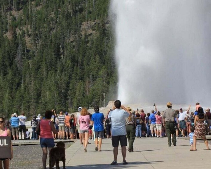 Picture 1 for Activity Old Faithful Lower Loop Tours