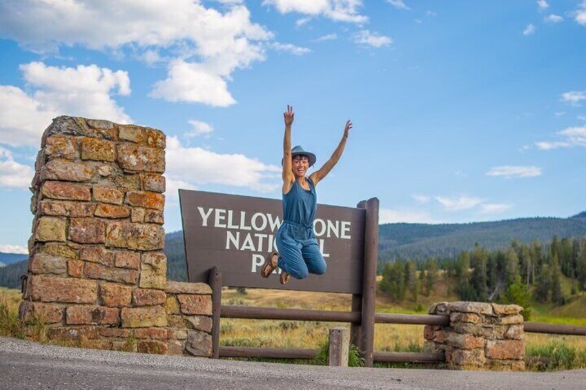 Yellowstone Upper Loop Wildlife Safari + Waterfalls with lunch!