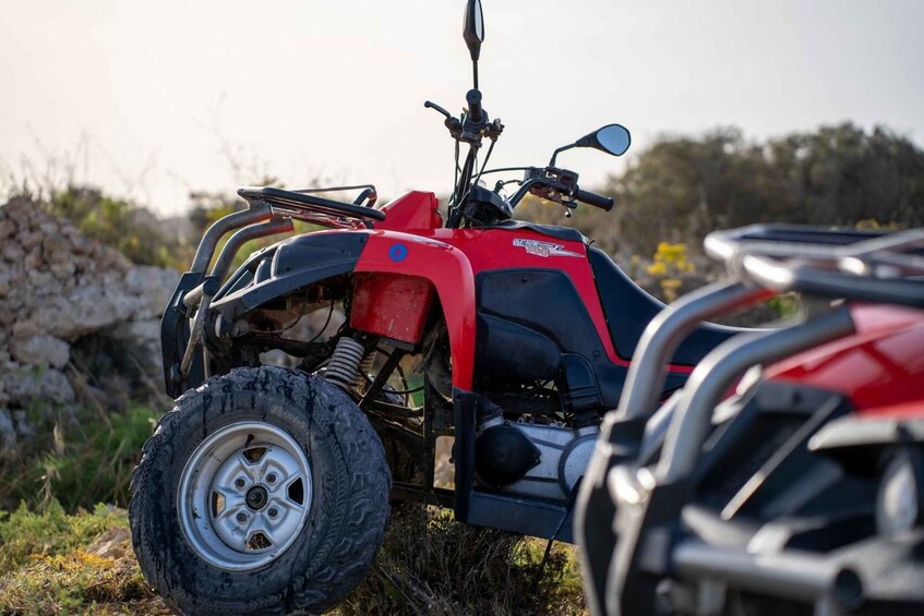 Picture 4 for Activity From Malta: Gozo Full-Day Quad Tour with Lunch and Boat Ride