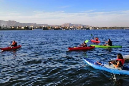 Kayak Experience in Aswan Nile with Pickup