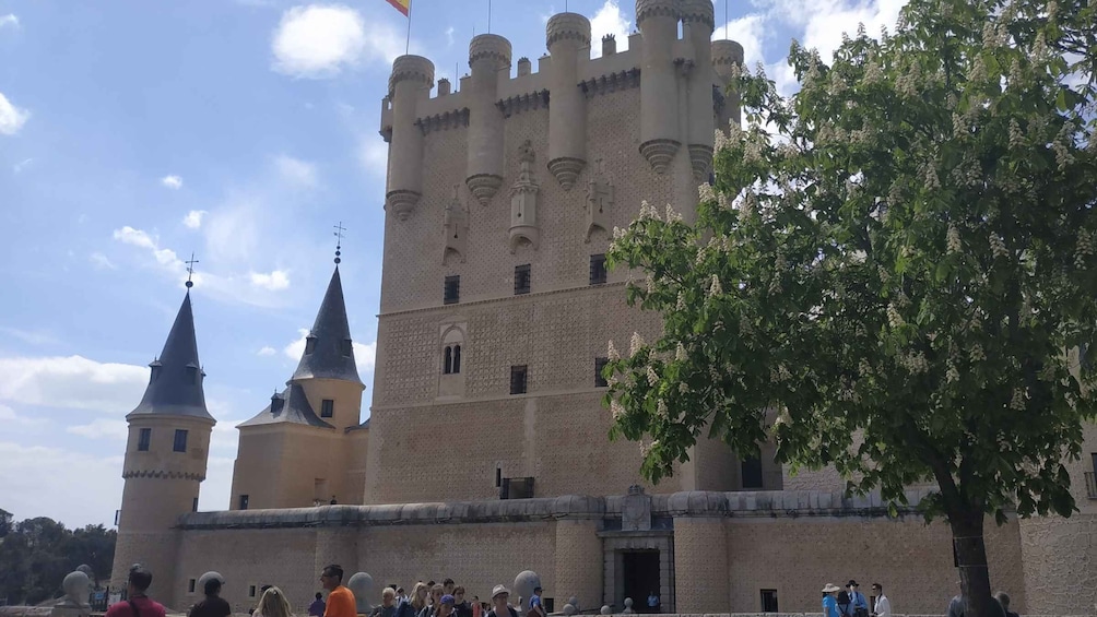 Picture 11 for Activity From Madrid: Guided Tour to Toledo and Segovia