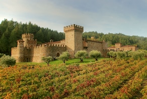 Small-Group Napa Wine Tour with Castello Di Amorosa & Lunch