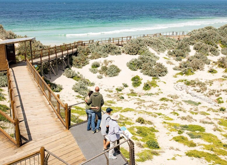Picture 4 for Activity Kangaroo Island Seal Bay Beach Experience - Guided Tour